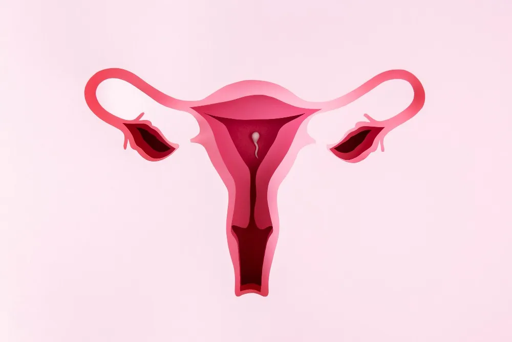 cervical cancer treatment in inodre